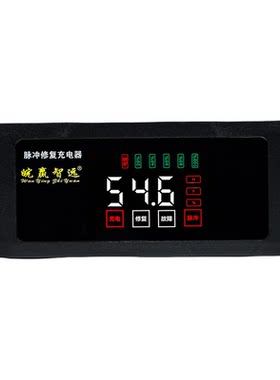 台铃适用插孔锂电池充电器电动车电瓶车48V54.6v快充锂数显锂电