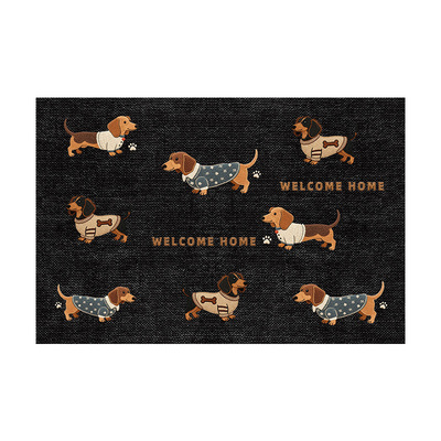 入户门垫卡通风室内免洗耐脏地垫