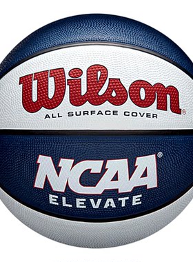 Wilson威尔胜耐磨室内外7号蓝球