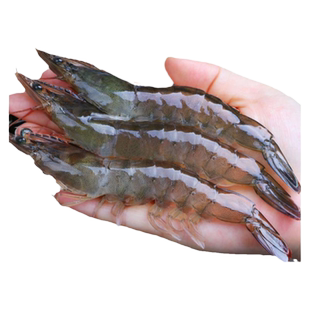 新鲜大虾鲜活超大基围虾青岛海虾冷冻青虾对虾海鲜水产2030盐冻虾