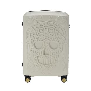 it行李箱万向轮旅行拉杆密码19寸登机可扩容登机大容量防水皮箱