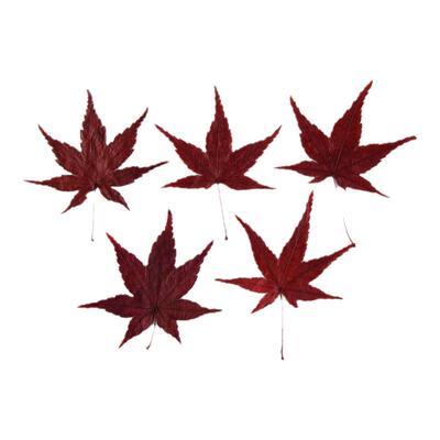 枫叶叶片秋季蛋糕装饰插件