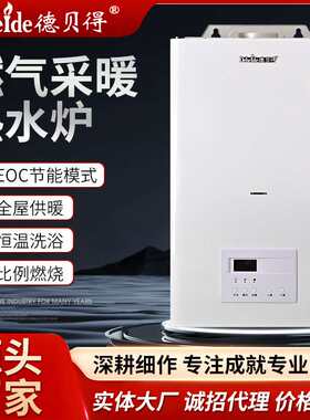 燃气取暖器家用取暖设备采暖温度可控供暖壁挂节能燃气壁挂炉