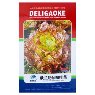 奶油咖啡生菜种子咖啡香麦汉堡沙丽汉堡翡翠营养菜四季盆栽蔬菜籽