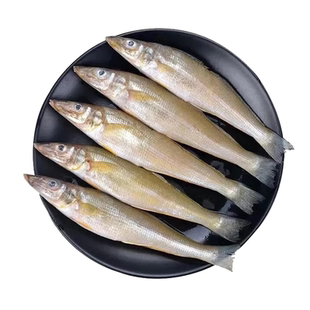 沙丁鱼新鲜冷冻青岛海捕船冻深海特大沙丁鱼人吃沙钻鱼沙尖鱼顺丰