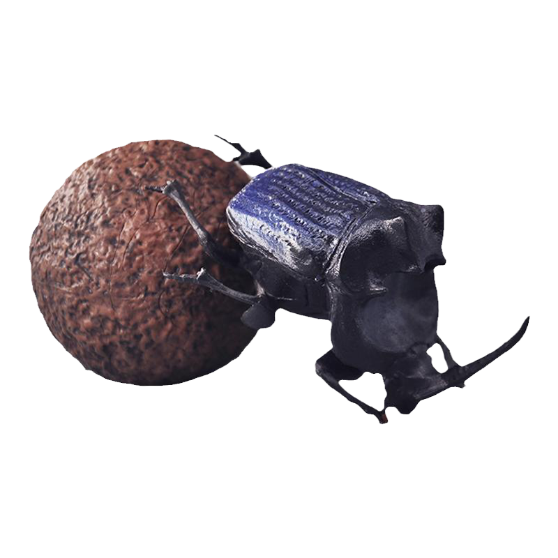 童德仿真动物玩具棕屎壳郎模型农场蜣螂滚粪球粪金龟儿童认知摆件