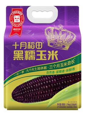 十月稻田黑糯玉米8根装