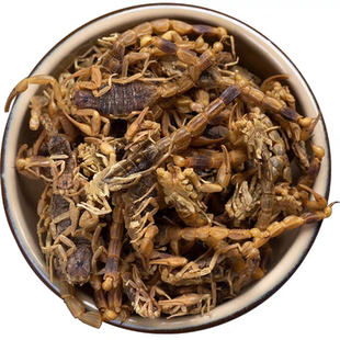 全蝎子干全蝎中药材正品500g克清水整条全虫干全蝎粉水蛭蜈蚣泡酒