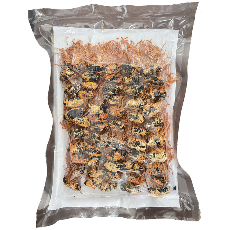 中老年滋补 吉林特级 北冬虫夏草 蚕蛹虫草 带蛹体 100克包邮