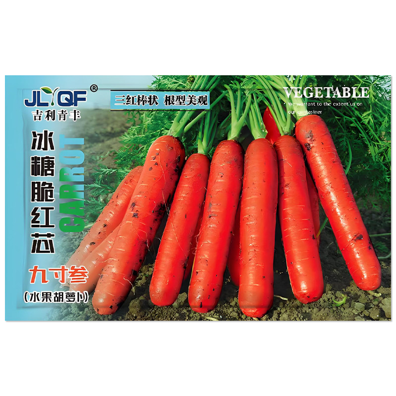 三红九寸参水果胡萝卜种子