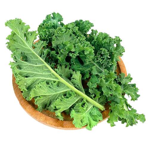 新鲜羽衣甘蓝2斤 嫩叶芥蓝甘兰叶牡丹kale西餐榨汁沙拉蔬菜食材