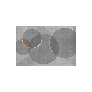 入户门地垫地毯家用玄关进门门口门垫脚垫pvc可擦免洗垫子可裁剪