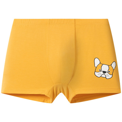 2条装舒雅男童莫代尔平角内裤