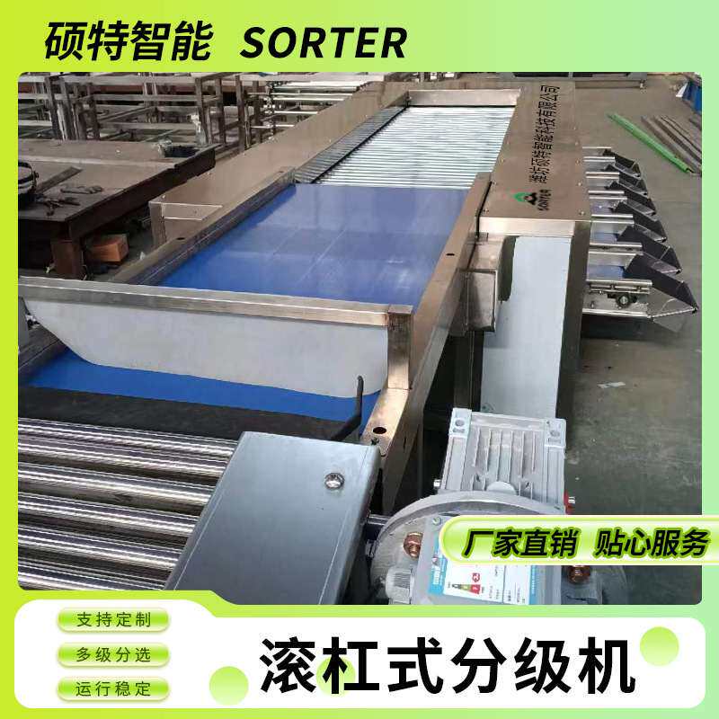 李子滚杠选果机 油桃水果直径分级机 小柿子清洗大小分拣流水线