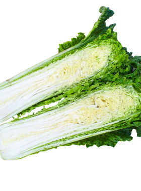 天津绿青麻叶大白菜秋天冬季菜籽