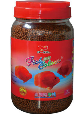 血鹦鹉热带观赏发财统一食粮增色