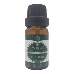 白芷精油10ml单方精油/植物萃取精油/源头工厂直供 天然芳香小样