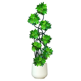鸭脚木客厅大盆栽绿植高级感室内大型植物树木旺宅鸭掌木落地盆景