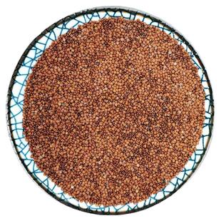 新货冰粉籽手工冰籽手搓气泡成都特色冷饮小吃木瓜籽凉粉籽