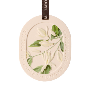 白兰花衣柜香薰石膏片定制家用卧室内空气扩香石持久留香车载挂件