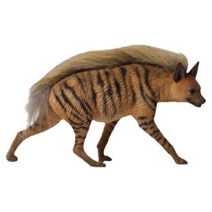 JXK1/6非洲鬣狗模型 条纹鬣狗 仿真动物植绒摆件可配兵人潮玩手办