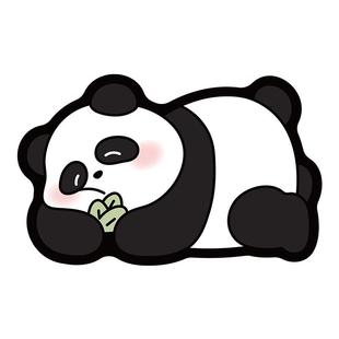 卫生间地垫家用软硅藻泥浴室吸水速干垫厕所门口垫子防滑熊猫地毯