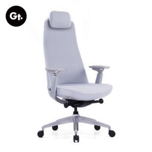 GT谷腾Yucan人体工学电脑椅高端工程学办公久坐电竞家用学习椅