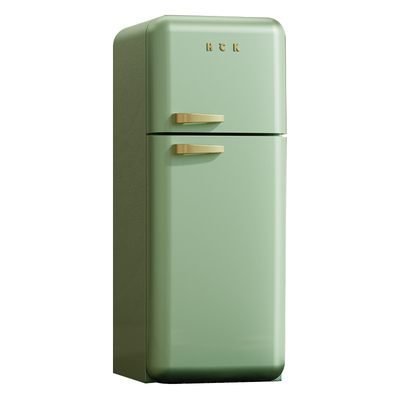 HCK双门复古冰箱风冷家用嵌入