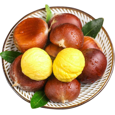 新鲜丹东生板栗带壳毛栗子批发价