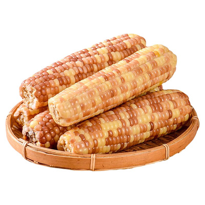 云南西双版纳拇指小玉米新鲜甜香糯粘手指迷你儿童花糯苞谷棒特产
