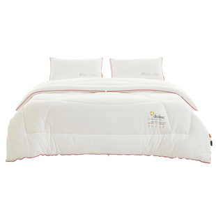 德绒抗菌保暖A类锦绒抗菌秋冬加厚保暖棉被学生被褥冬被芯