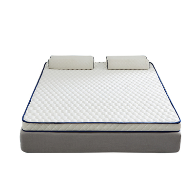 乳胶记忆棉床垫软垫60x70x80x90x190cm学生宿舍租房家用地铺垫褥a