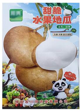 甜脆水果地瓜25g凉薯番种子孑籽