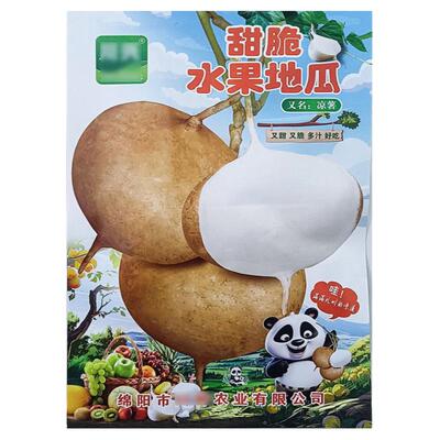 甜脆水果地瓜25g凉薯番种子孑籽