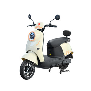 台铃铅酸电池60V22A电动摩托车