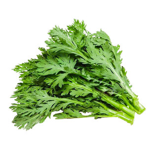 皇帝菜中叶茼蒿种子青菜种籽筒篙菜种籽种四季蔬菜孑茼蒿菜种菜籽