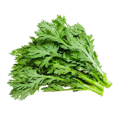 皇帝菜中叶茼蒿种子春菊四季