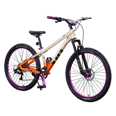 红旗官方旗舰店土坡山地自行车