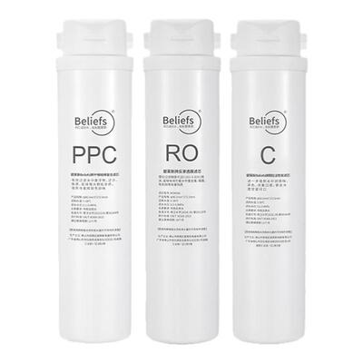 碧莱斯适配钻芯ZX-RO-400G滤芯