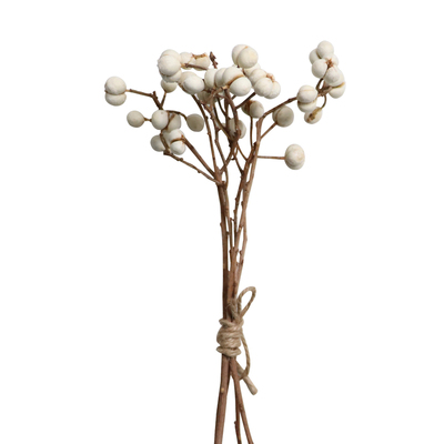 DIY白果乌桕果干花摆件拍照道具