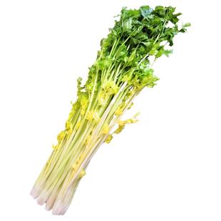 平度马家沟芹菜山东青岛特产大叶黄玻璃脆家庭装新鲜蔬菜包邮