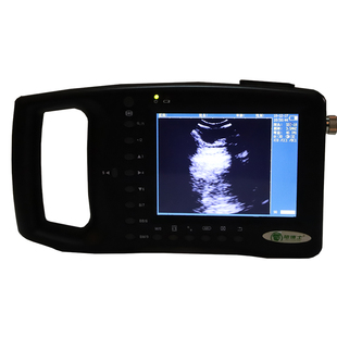 兽用B超机猪用b超彩超测孕仪高清牛母猪比超机手提便携检孕诊断仪