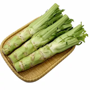 四川薄皮棒菜种子白皮芥菜种菜菜脑壳花叶菜头川渝特色秋播蔬菜籽