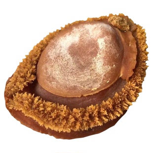 溏心南非鲍鱼干鲍深海纯天然优质特级网鲍吉品鲍鱼干货非即食500g