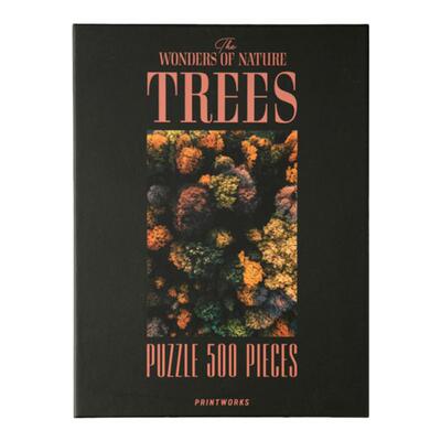 冰川岩石树林海浪云朵500片拼图