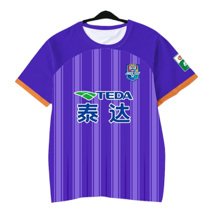 2024天津泰达津门虎队服新款足球衣服速干短袖T恤衫男女冰丝半袖