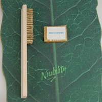 1 чистящая пленка+кисть (провинциальный груз)