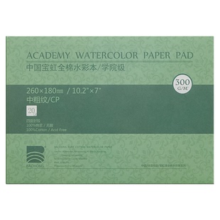 宝虹棉浆水彩纸300g水彩本四面封胶绘画本学院级画纸中粗纹儿童手绘画画专用纸手绘本儿童涂鸦绘画纸美术生用