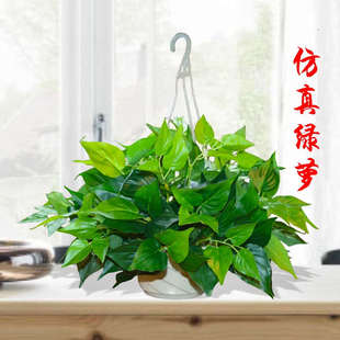 仿真植物假绿萝壁挂花金钟柳藤蔓室内客厅墙面装 饰吊篮吊兰盆栽