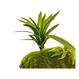 森空间仿真绿植配材装饰造景软装搭配热带植物蕨草龟背竹葵微景观